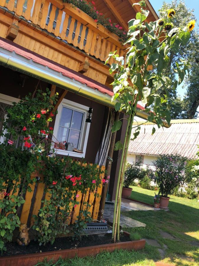 Hero 4 Sterne Ferienhaus Baja Exterior photo